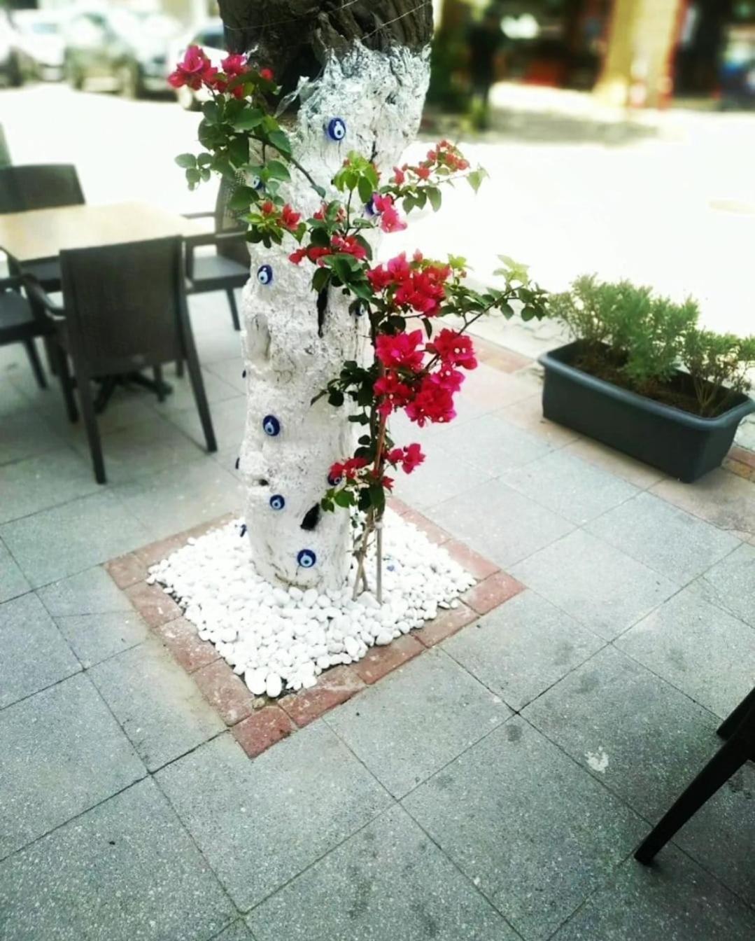 Punta Vista Hotel Измир Екстериор снимка